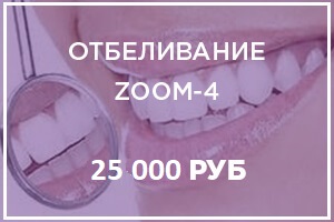zoom4 osen 20221
